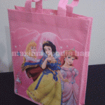 Goodie bag ultah kulit jeruk Princess KJ006
