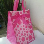 Tas Souvenir Unik dan Menarik